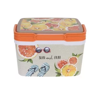Mini Kühlbox 6 Liter