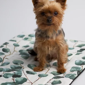 Hundedecke eukalyptus Reiseartikel Onlineshop weshop